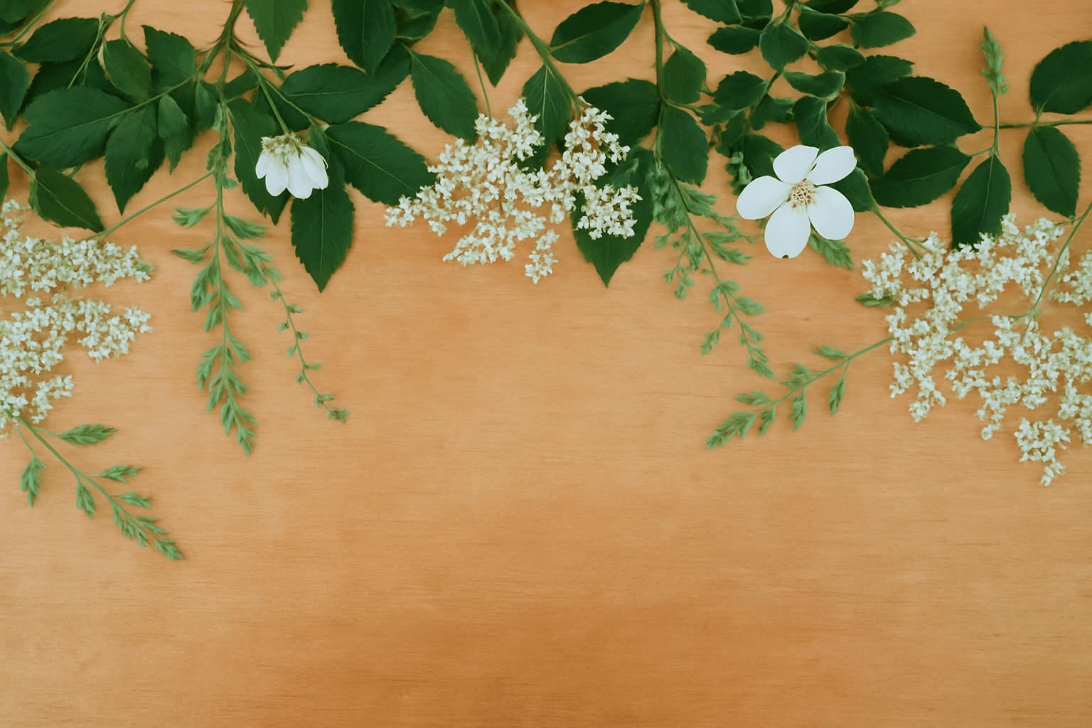 Beautiful Portugal landscape